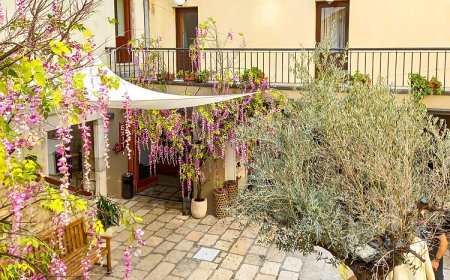 Apartman Palit - CKR775