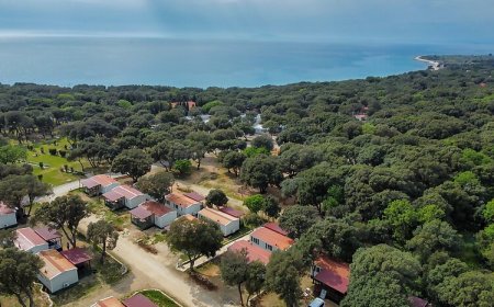 Apartmanok Parkolóhellyel Novalja, Pag - 19398 Novalja