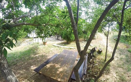 Apartman Pula - CIR273