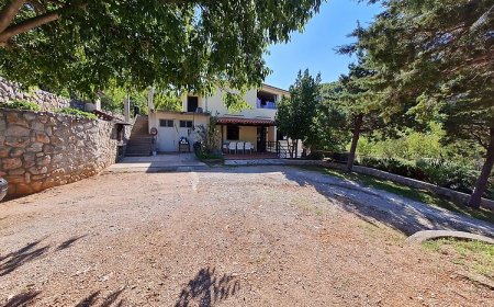 Apartment Andrea Klenovica