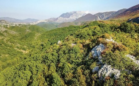 Apartman Kučiće - CDC811