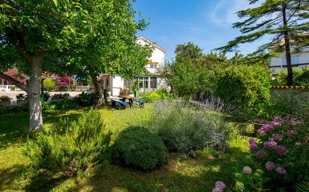 Apartman Palit - CKR644