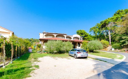 Apartments Josip S Lopar