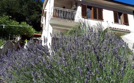 Apartman-Sobe Mikleus Mošćenička Draga