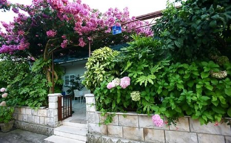 Apartmanok A Tenger Mellett Loviste, Peljesac - 15150 Lovište