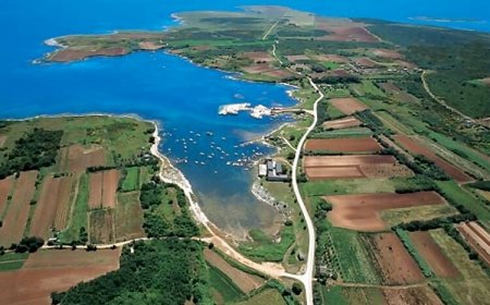 Apartmani Robi Ližnjan