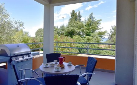 Apartman Raul Dajla