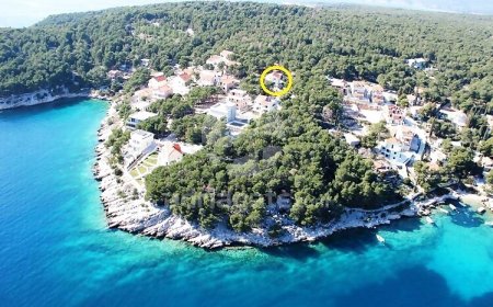 Apartment Deni Milna