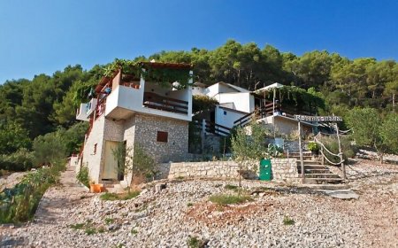 Robinson Mirela Ladjena Bogomolje