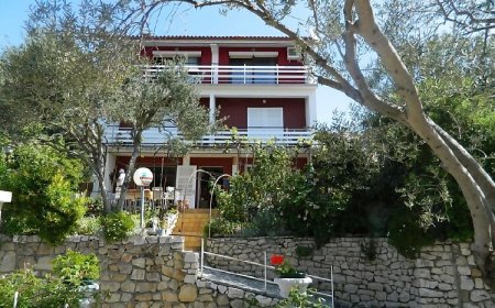 Apartmani Ninko Palit