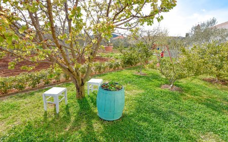 Apartments Aurora Mrljane