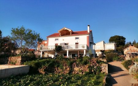 Apartman Darka Žman