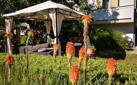 Apartmani i Sobe Frane Palit