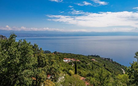 Apartman Medveja - CKO384