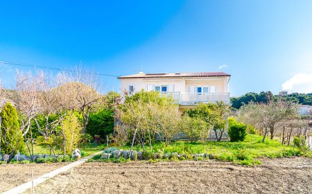 Apartment Marica Sanja Palit