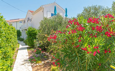 Apartman Tribunj - CDJ935