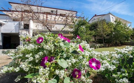 Apartments Šimić-with beautiful view Starigrad Paklenica