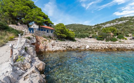 House Island Harbour Tkon