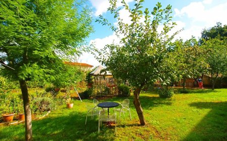 Apartmanok Parkolóhellyel Medulin - 19686