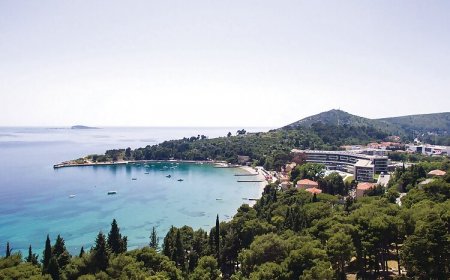 Apartman Mlini - CDD912