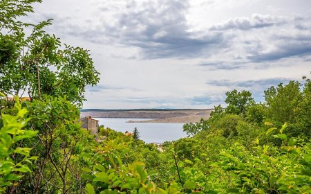 Apartman/Studio Budic Jadranovo