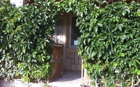 Apartment Andy Komiza