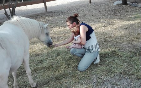 Nika Apartman Crikvenica