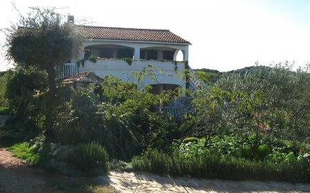 Apartmani Lado Muline Ugljan