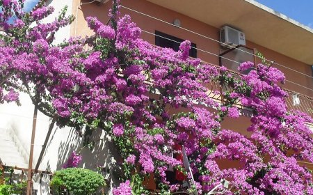 Apartments Katica Makarska