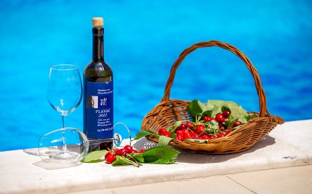 House Nature Tribalj