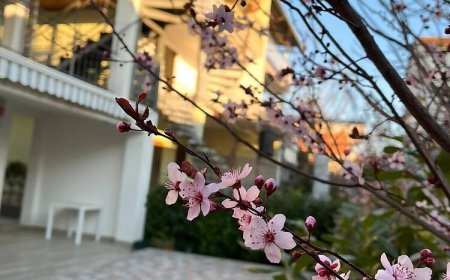 Apartman Ivana Vodice