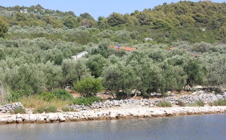 Robinzoni Apartmanok A Tenger Mellett Öböl Magrovica - Telascica, Dugi Otok - 8139 Magrovica - Telašćica