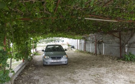 Apartments Vinčić Rogoznica