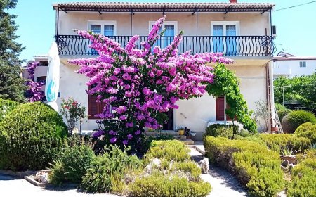 Apartman Zorić Biograd na Moru