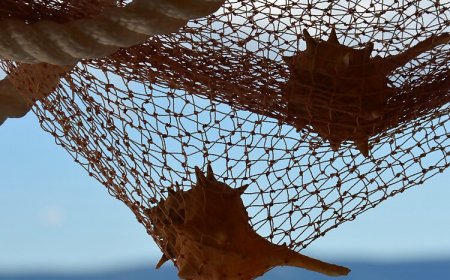 Apartments Bluesun Stanici