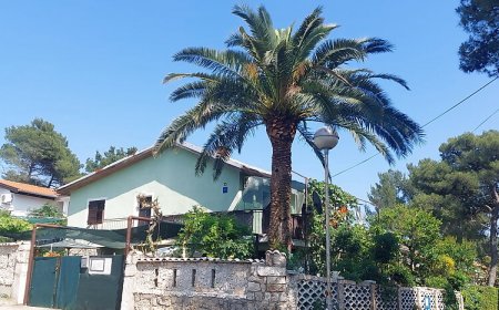 Apartman  Green Paradise Artatore