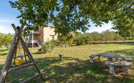 Apartman Slivnica - CDA934