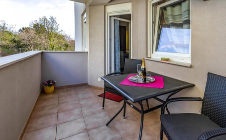 Apartman Ližnjan - CIZ416