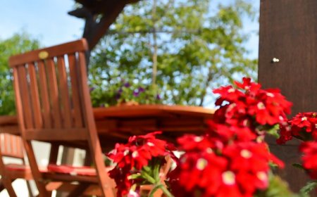 Apartment Boris Gizdavac