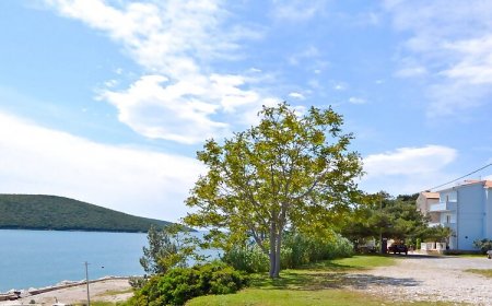 Apartments Milan Rakalj