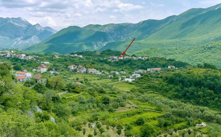 House Cattleya Kostanje