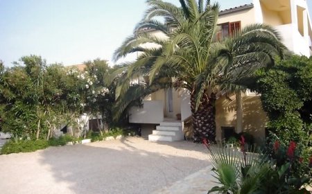 Apartments Tonka Orebic II