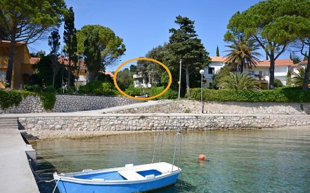 Apartment Olga Banjol