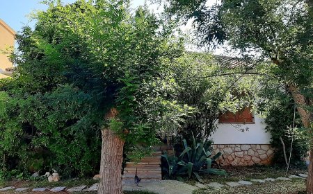 House Leticija rustica Novalja