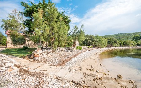 House Uncle Simon Pasman