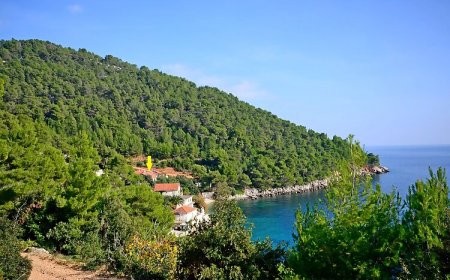 Apartments Edi Gdinj