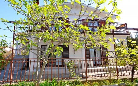 Apartments Zlata Vodice