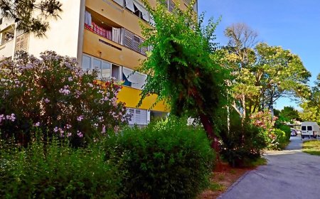 Apartment Sunny Split