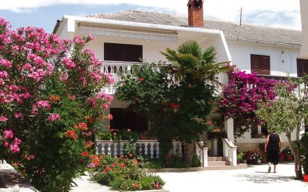 Apartmanok Parkolóhellyel Povljana, Pag - 228 Povljana