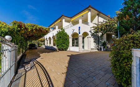 Apartments Palm tree Okrug Gornji